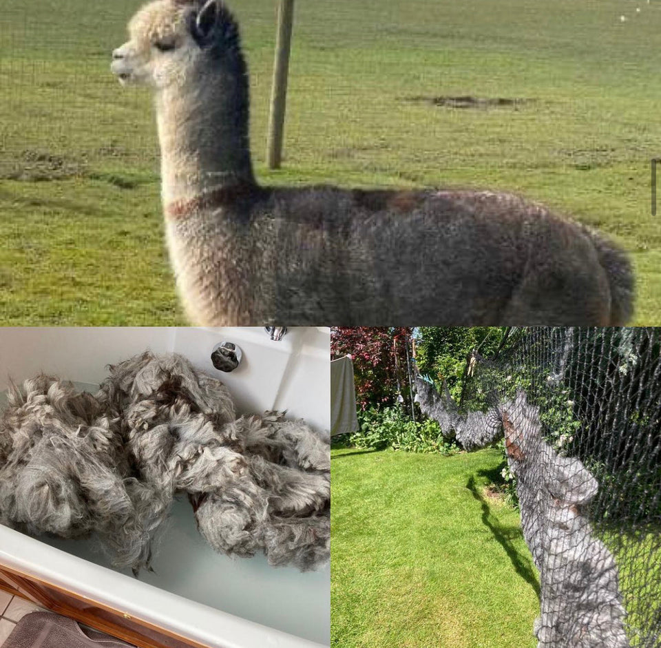 Alpaca luxury beanie - grey & cream - Hand spun & knitted by Sara Spinner