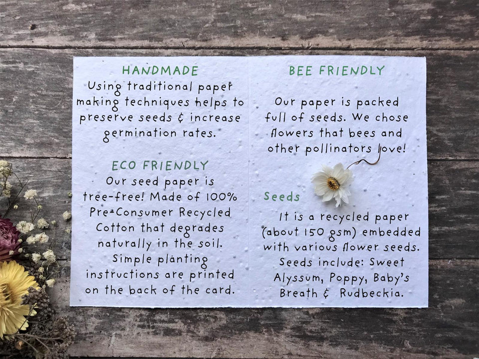 Cards for Animal Lovers - PLANTABLE Eco-friendly Cards