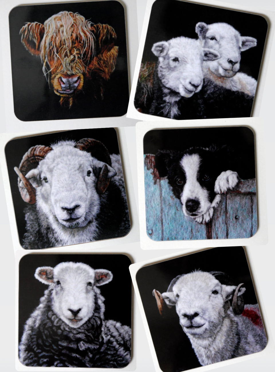 6 Animal Coasters