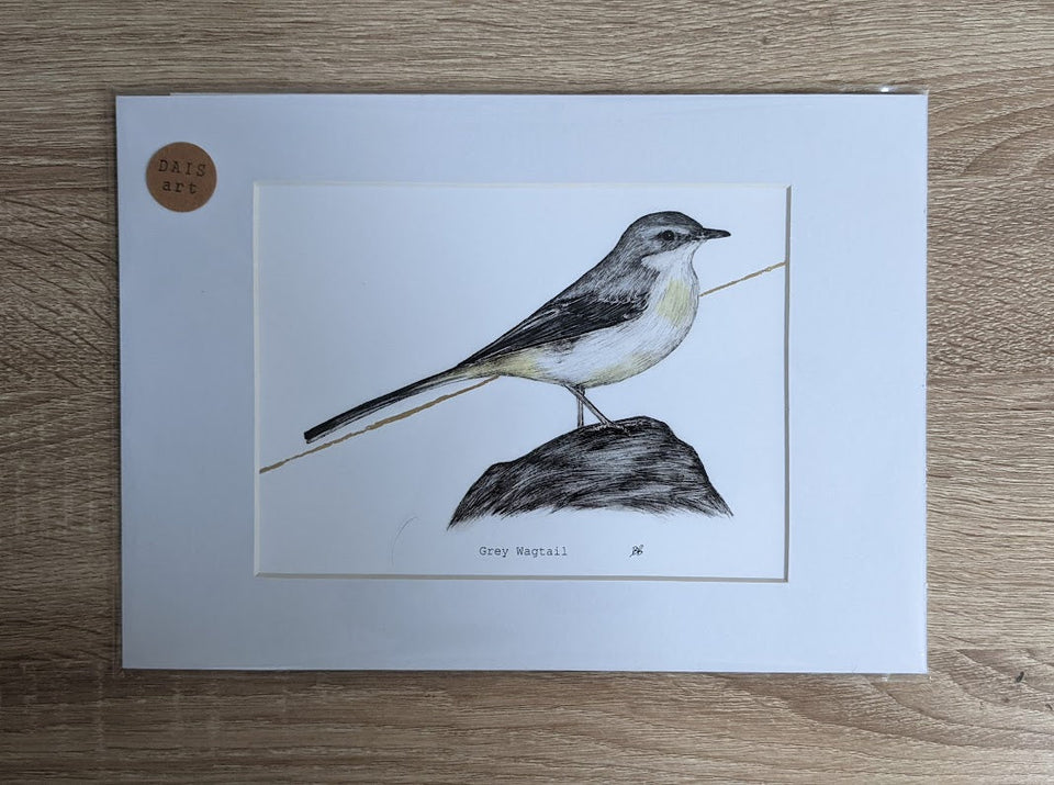 Ambleside Dipper - A3 - Fine Art Prints of British Birds - Dais SB Art