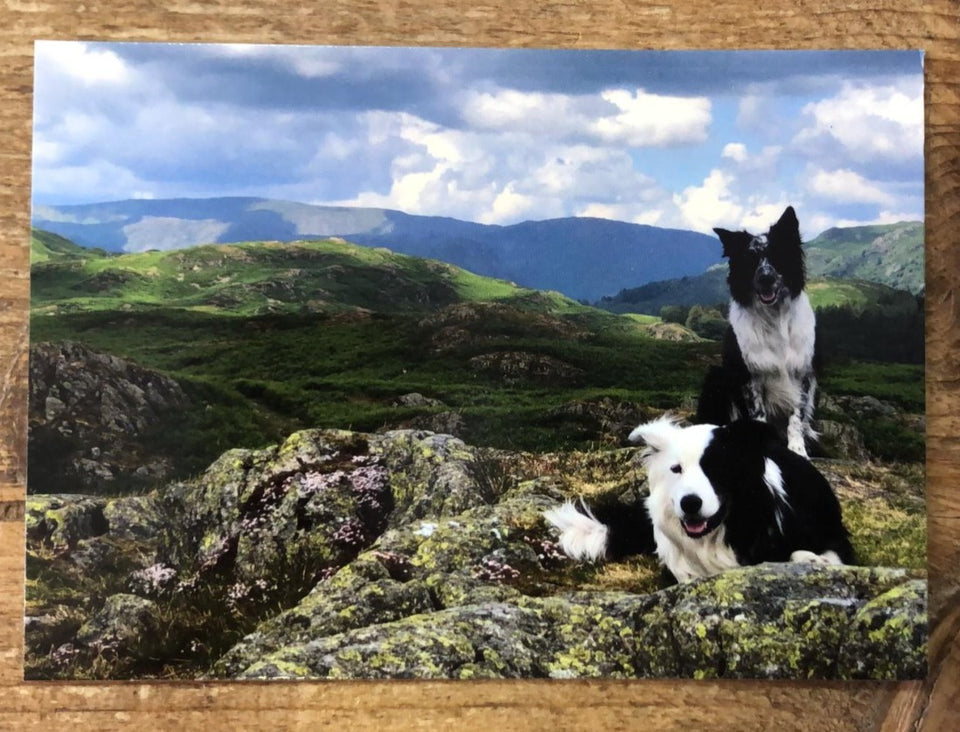 10 Outdoors Postcards - 'Zak & Co' Collection