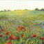 Sunlit Poppy Field - print of original watercolour by Sarah Stoker