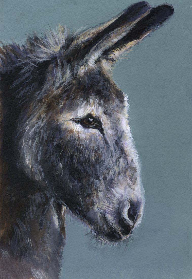 Donkey (blue) - print of original watercolour by Sarah Stoker