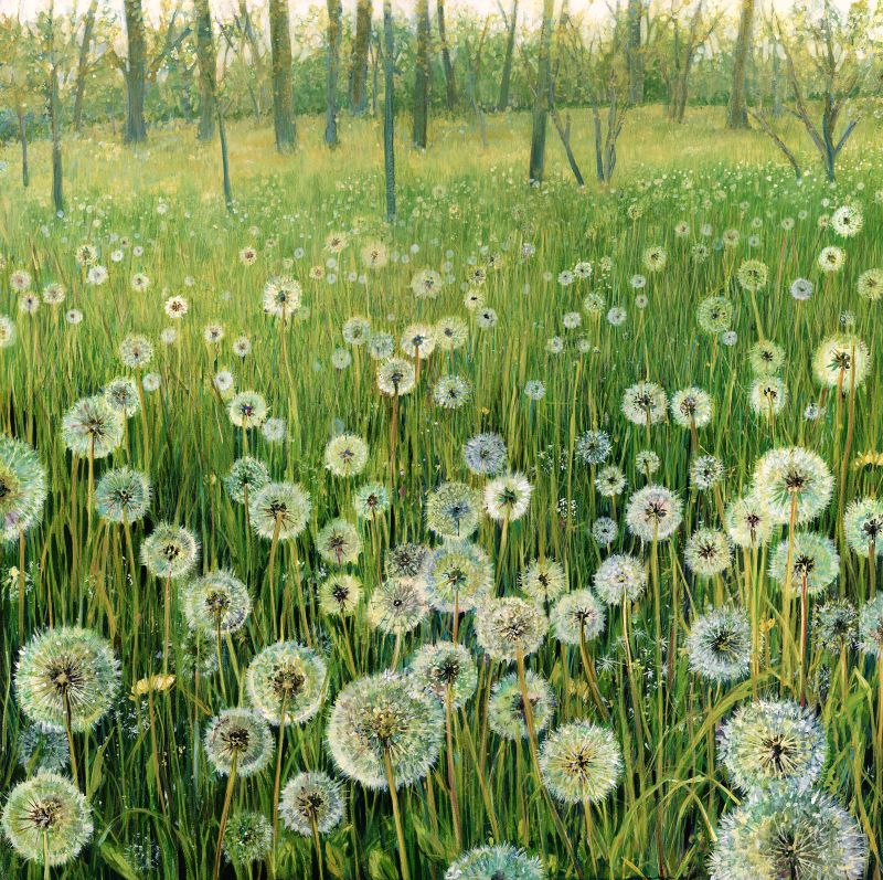 Weeds or Wishes - print of original watercolour by Sarah Stoker