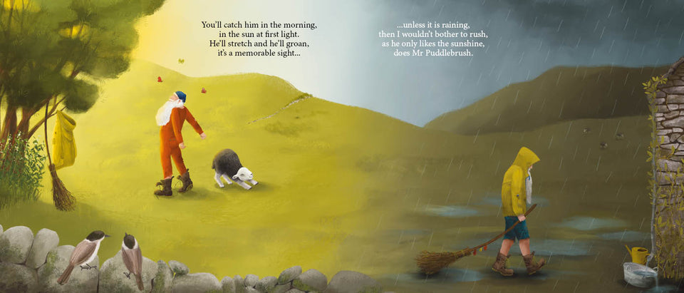 'Mr. Puddlebrush - Lake District Tales of Nature' by Jon Buxton