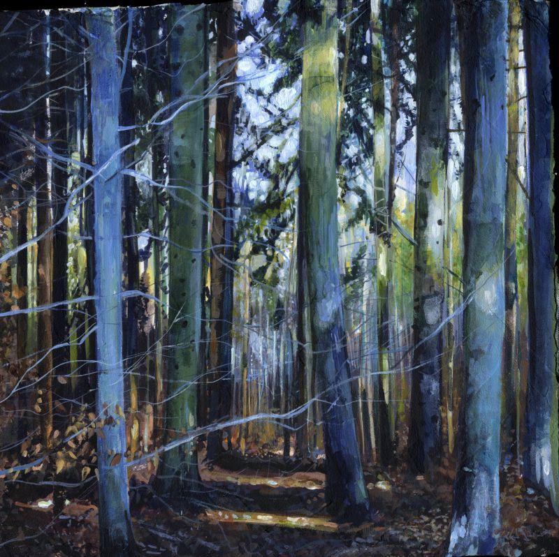Blue Pine Woods - print of original watercolour by Sarah Stoker