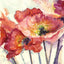 Vintage Poppies - print of original watercolour by Sarah Stoker