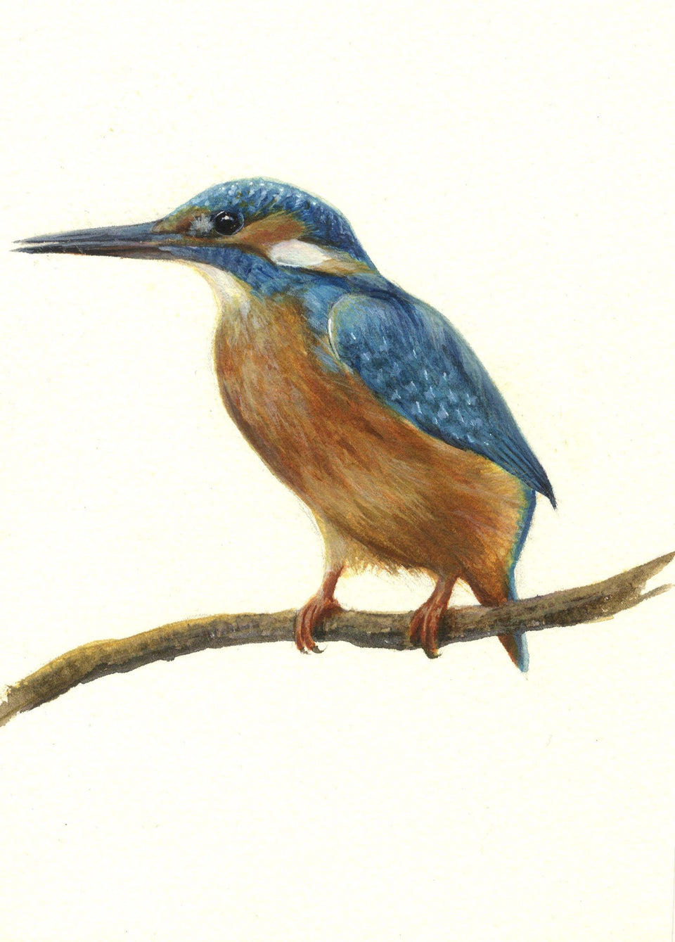 British Birds painted by Sarah Stoker