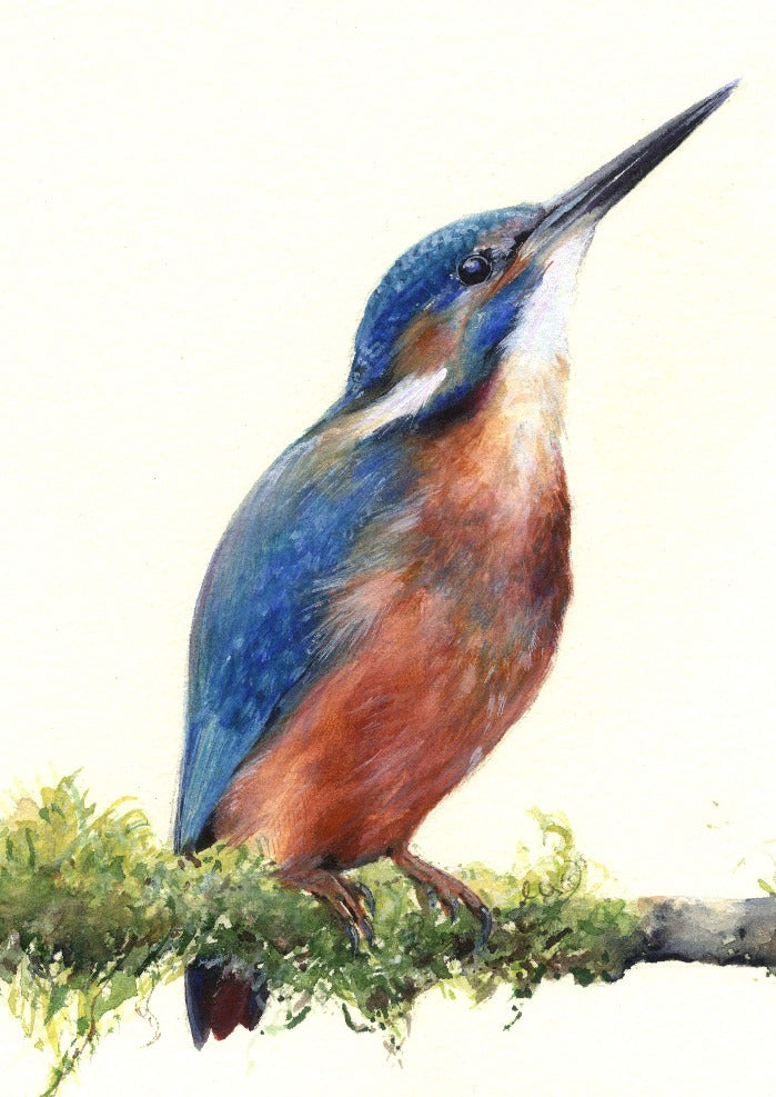 British Birds painted by Sarah Stoker