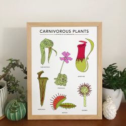 Wildlife & Plant A4 Prints