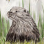 IB, Gina Andrews, InkBison, indian ink, inks, painting, pets, prints, animal, otter