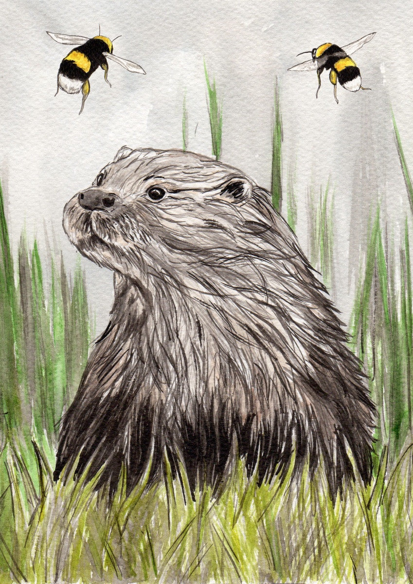 IB, Gina Andrews, InkBison, indian ink, inks, painting, pets, prints, animal, otter