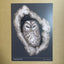 Beautiful Cards of Birds