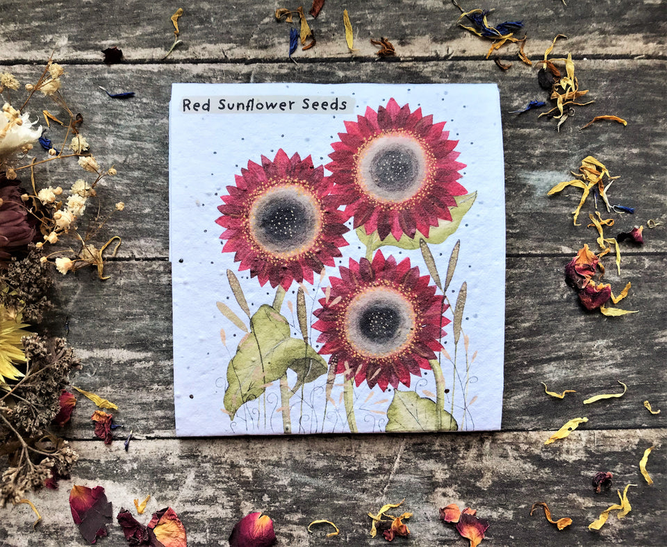 9 Different Seed Packs - Illustrated Seed Pack