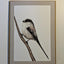 Beautiful Cards of Birds