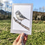 Beautiful Cards of Birds