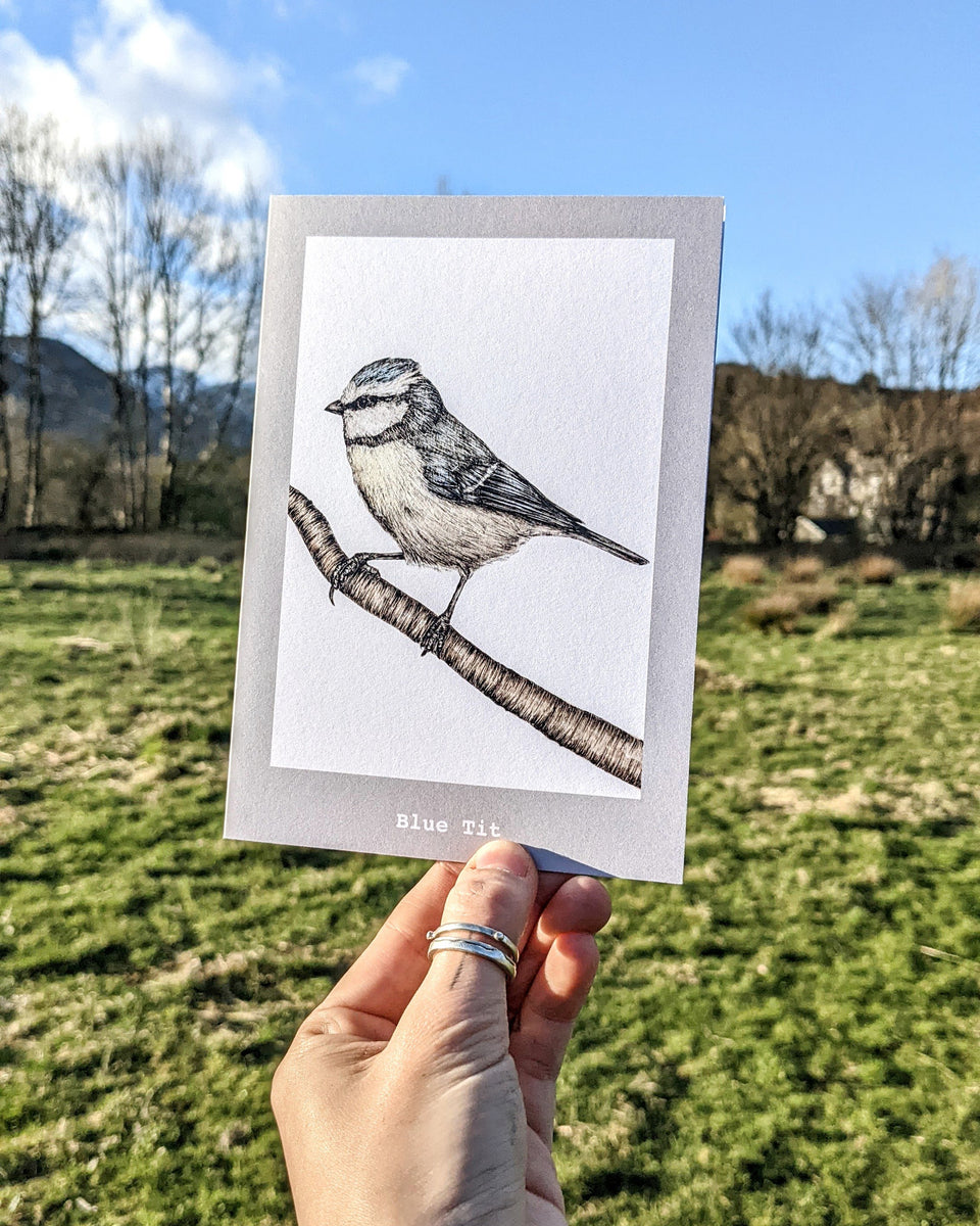 Beautiful Cards of Birds