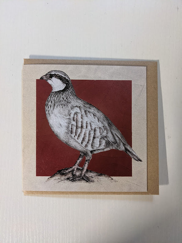 Bird Christmas Cards by Dais SB Art