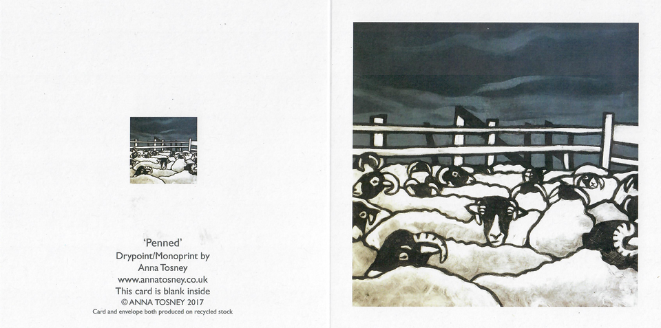 Cards by Anna Tosney