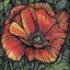 A Box of Beautiful Flower Cards by Jennifer Guest Art