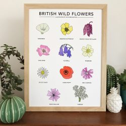 Wildlife & Plant A3 Prints