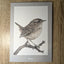 5 Beautiful Bird Cards