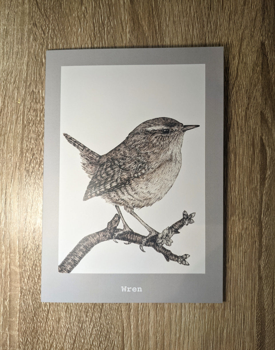 Beautiful Cards of Birds