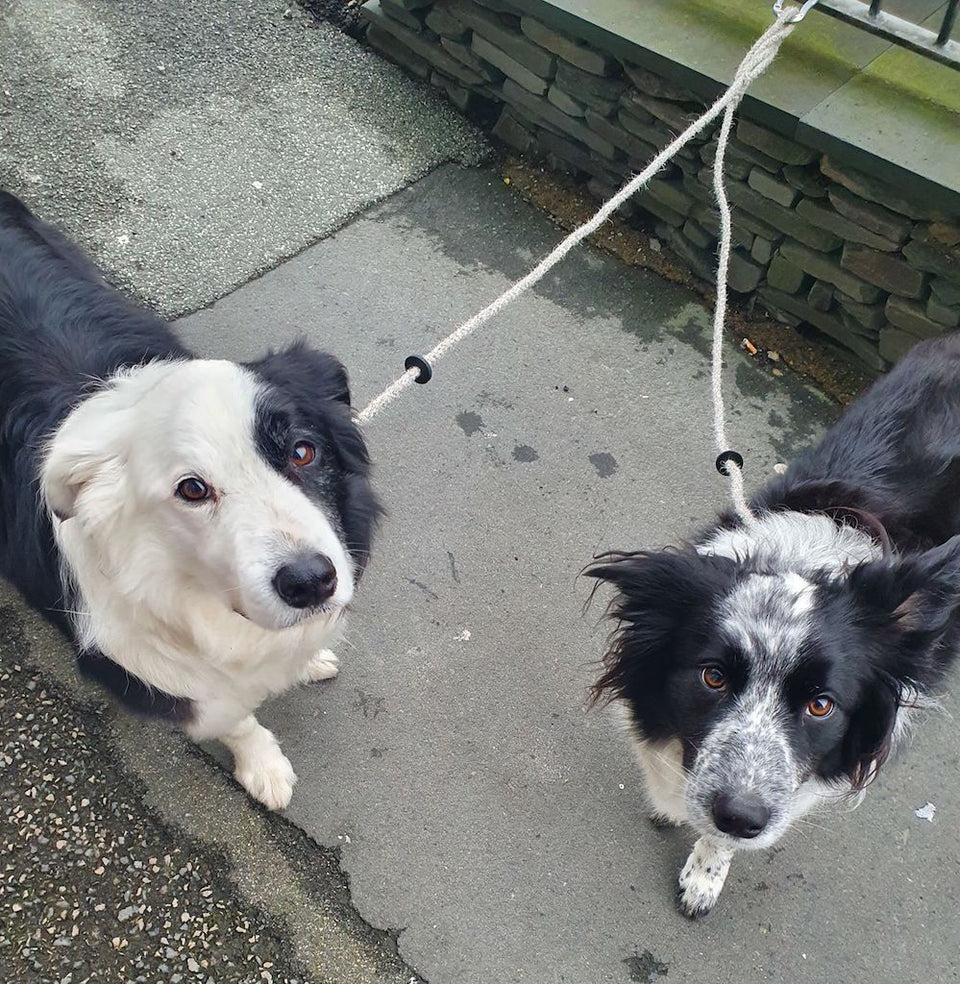 Herdwick Dog Leads by Crookabeck Herdwicks