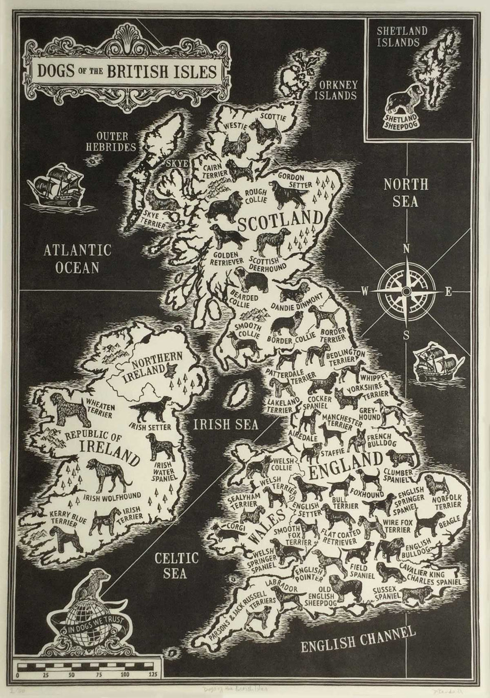 Dogs of the British Isles Print