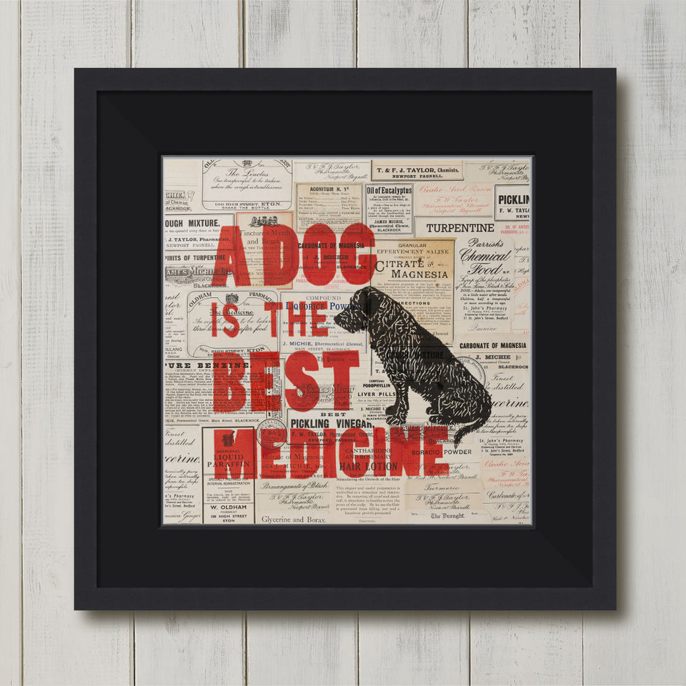 A Dog is the Best Medicine Print