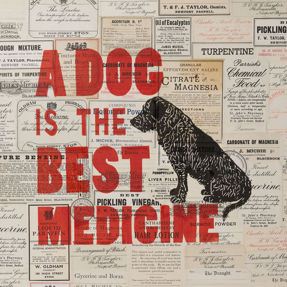 A Dog is the Best Medicine Print