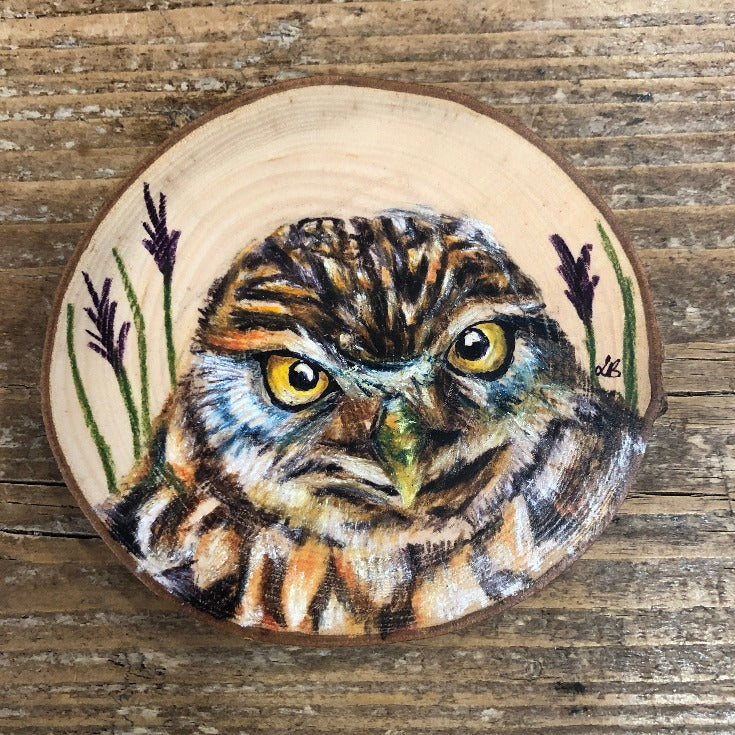 Little Owl Coaster - Coloured Pencil on Wood