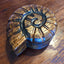 Ammonite Box