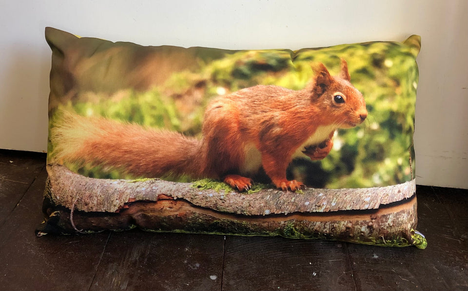 Red Squirrel Cushions by Terry Abraham
