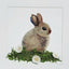 Needle-felted Rabbit Picture