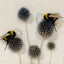 Felted Bees with Dried Flowers